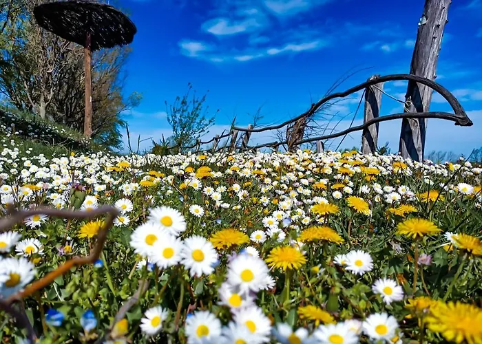 Parque de Campismo La Luna Sul Trebbio Modigliana