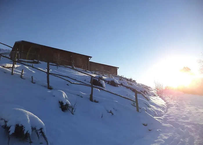 Parque de Campismo La Luna Sul Trebbio Modigliana