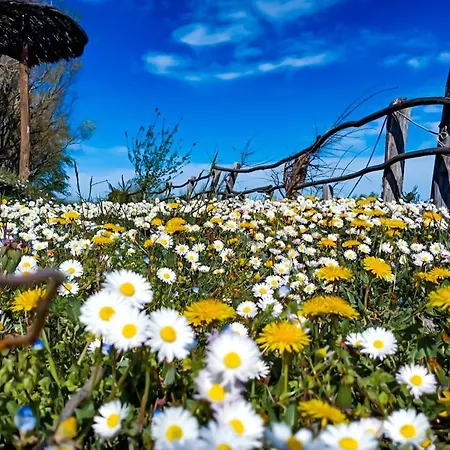 Campsite La Luna Sul Trebbio Modigliana