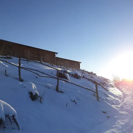 Campeggio La Luna Sul Trebbio Modigliana