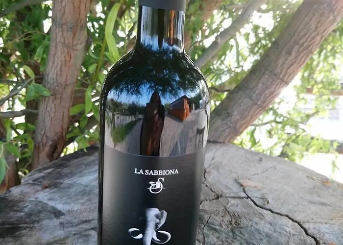 Camping La Luna Sul Trebbio Modigliana